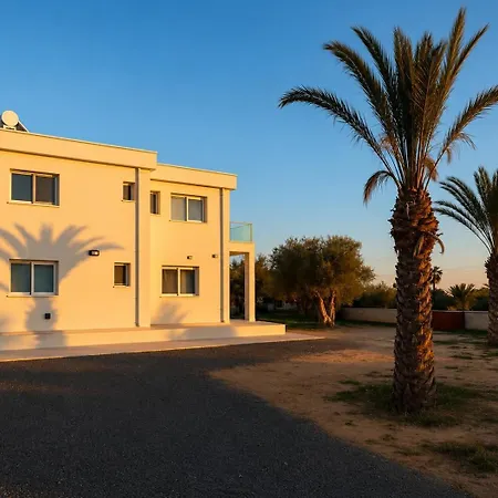 Brand New Sea-view In Olive Orchard By Capt St George Villa