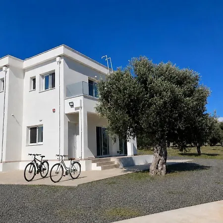 Brand New Sea-view In Olive Orchard By Capt St George Villa Peyia