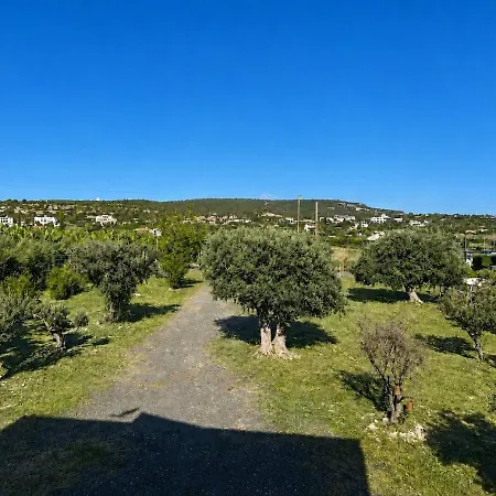 Brand New Sea-view In Olive Orchard By Capt St George Peyia