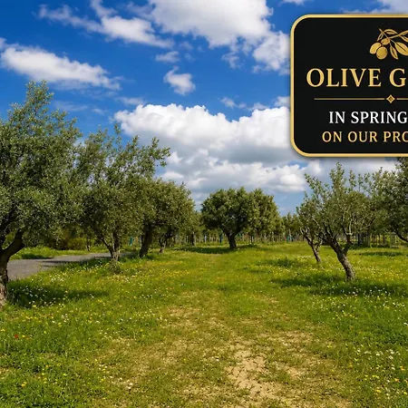 Brand New Sea-view In Olive Orchard By Capt St George Villa *