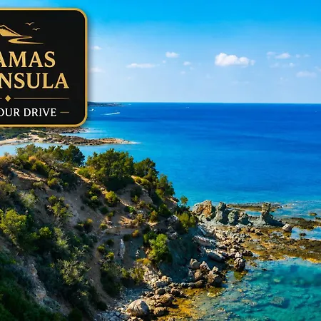 Brand New Sea-view In Olive Orchard By Capt St George Villa